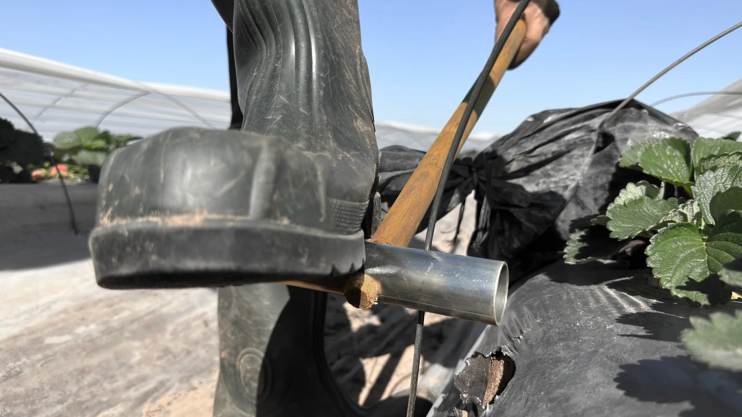 Field Worker Tool