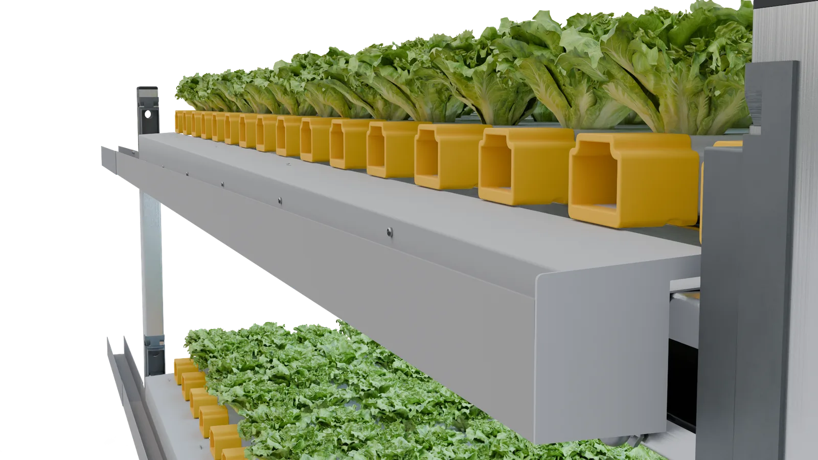 Hydroponic System